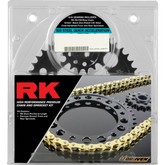RK Chain and Sprocket Kit - Quick Acceleration - Natural - Suzuki GSX-R600 '11-'22 3066-119PX